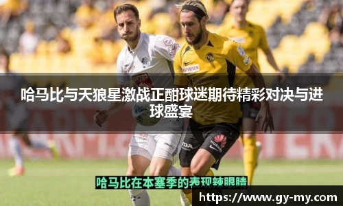 哈马比与天狼星激战正酣球迷期待精彩对决与进球盛宴