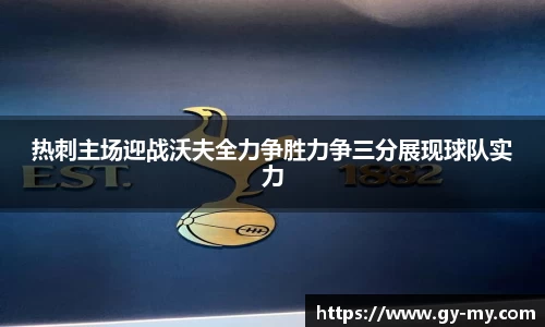 热刺主场迎战沃夫全力争胜力争三分展现球队实力