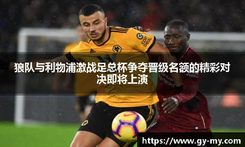 狼队与利物浦激战足总杯争夺晋级名额的精彩对决即将上演