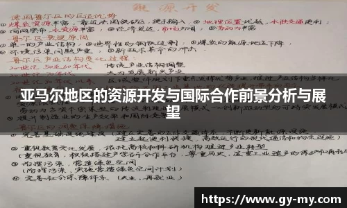 亚马尔地区的资源开发与国际合作前景分析与展望