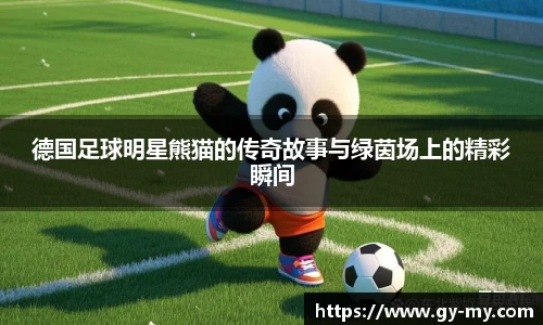 德国足球明星熊猫的传奇故事与绿茵场上的精彩瞬间